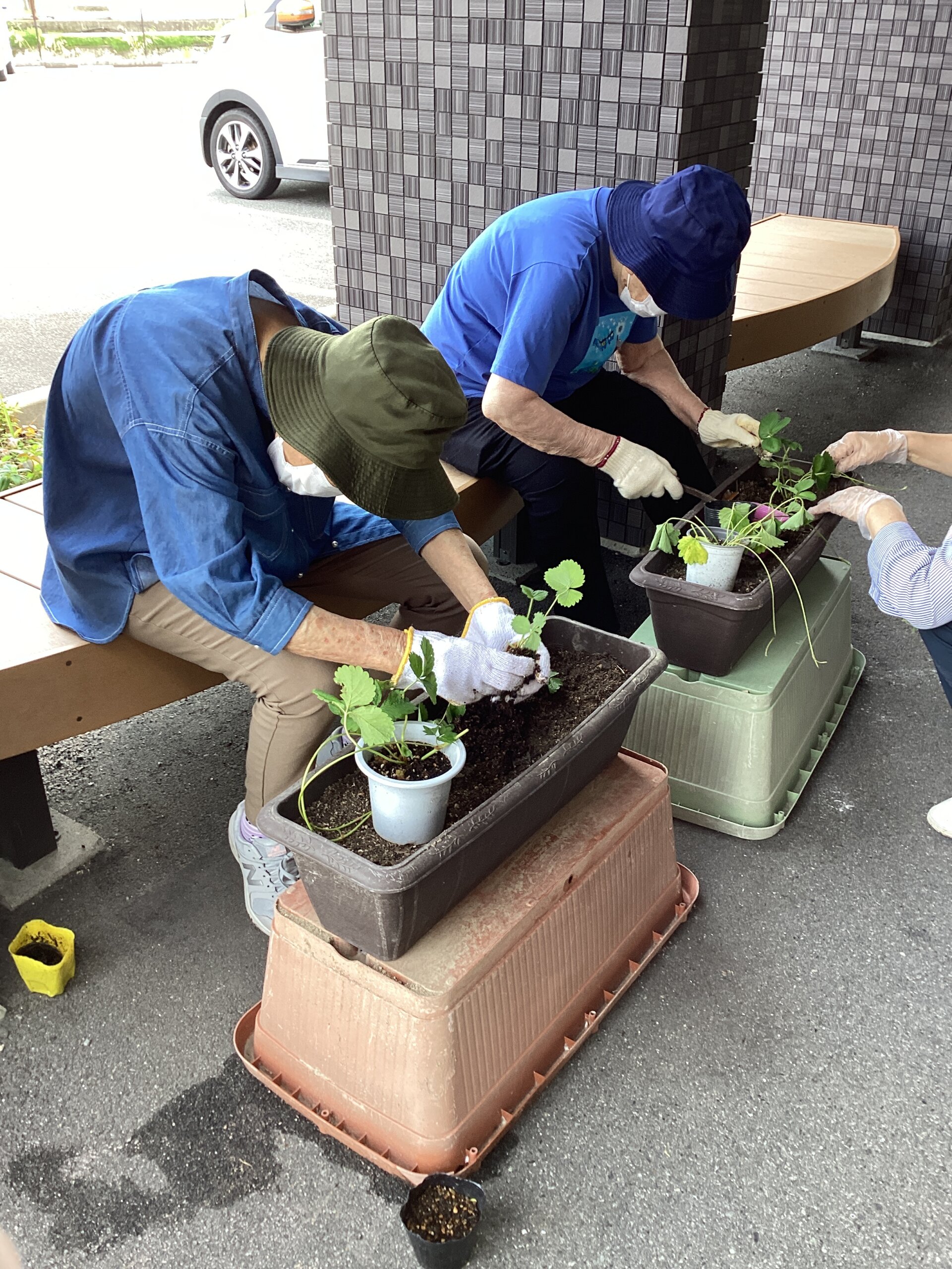 いちごの苗植えました【デイサービスセンターフィラージュ開出】 - 社会福祉法人ひとつの会