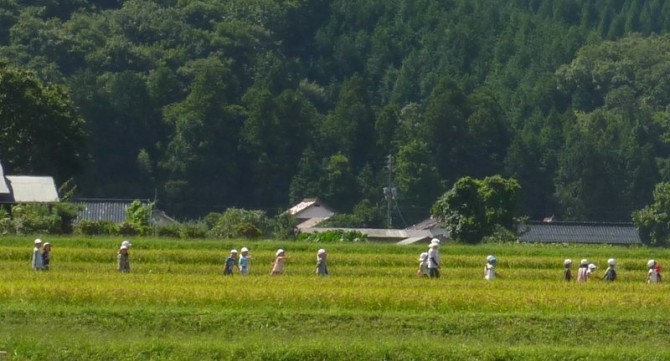 田圃の中を帰る子供たち