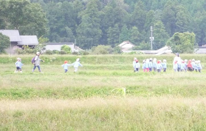 いつもの帰り道