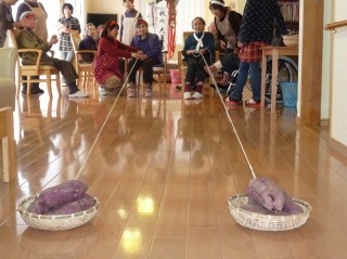 畑で採れた重いおおきなイモ引き!