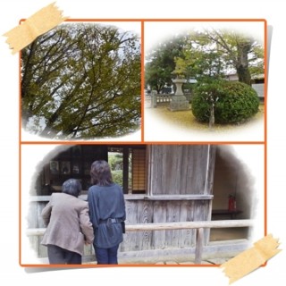 松陰先生はいずこに? 松陰先生はいずこに?