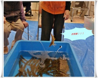 それっ! それっ!