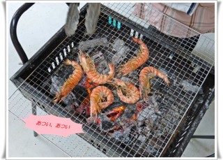 釣られて恥ずかしいので赤くなったのではありません 釣られて恥ずかしいので赤くなったのではありません