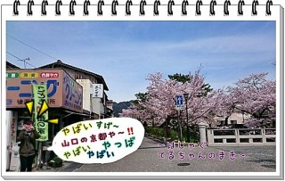 スタッフも(　；∀；) ｶﾝﾄﾞｰｼﾀ