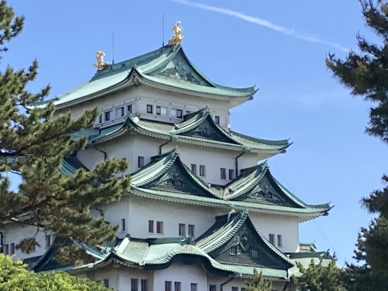 560512248095965549 (1)