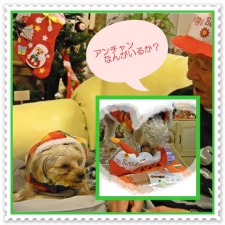 誕生ケーキは帽子？？？