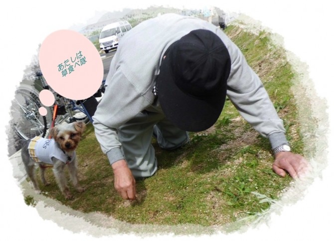 あ～忙しい忙しい