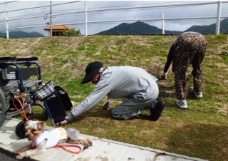 草はとらんといけんのぉ