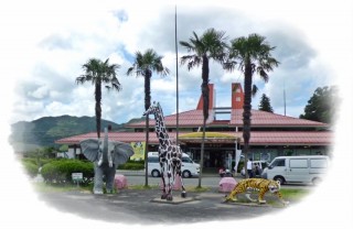 来ました！サファリ