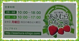 今日はここ！に決めた