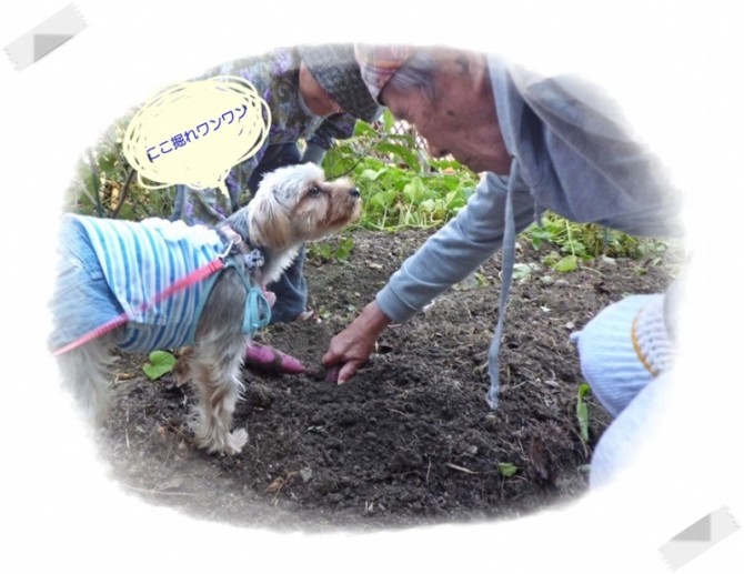 アンチャンみてみぃ！