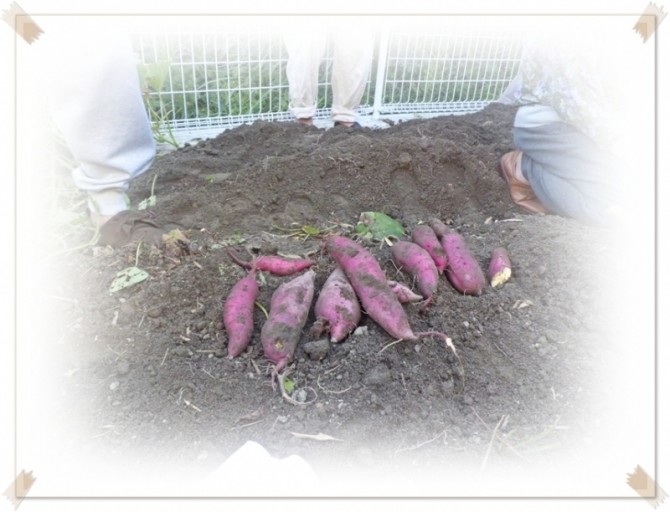 実りの秋　第一号！！！