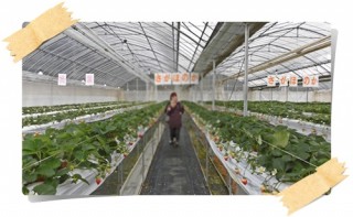 全部食べます！