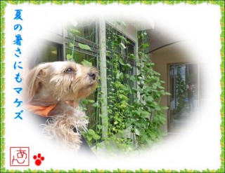 施設長を探せ！