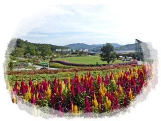 とにかくきれい！