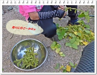 売りにはいきません