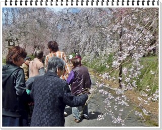 このこはかわいこちゃんですねぇ