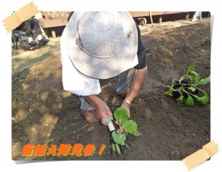 うちの職人も負けませんよ！