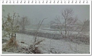 今年初めての大雪! 今年初めての大雪!