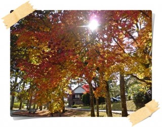 真っ赤だなぁ～真っ赤だなぁ～