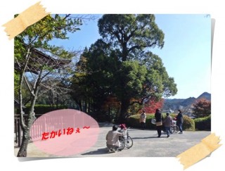 だ～れかさんがみぃつけた