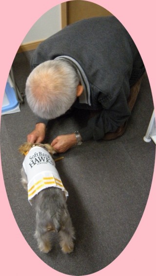 アンちゃんは女学生