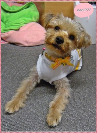 カイくんじゃぁないよ