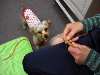 やっぱこっちヨン