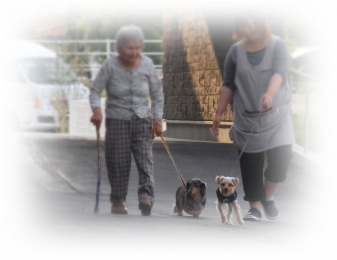 てくてくすたすた