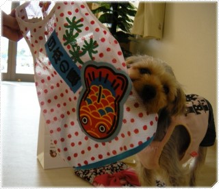 ねぇ～みてみて！