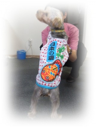 このフレーズ、どこかで。。。