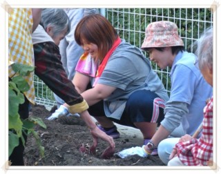 まだまだ掘りまっせ！！！