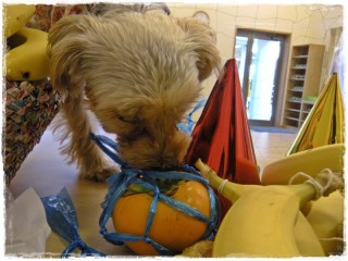 くんくんくん。。。