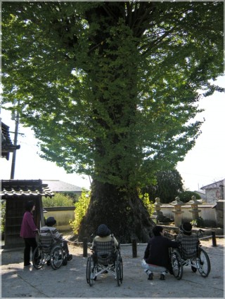 おおきねぇ~ おおきねぇ~