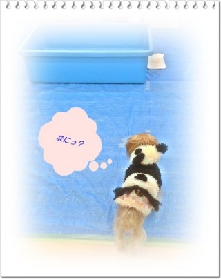 磯の香りが。。。 磯の香りが。。。