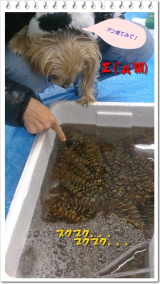 指の先には。。。 指の先には。。。