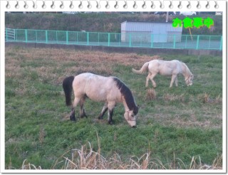 親子ではありません