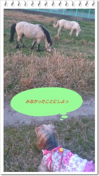 正解は　(ﾟдﾟ)ｳﾏｰ