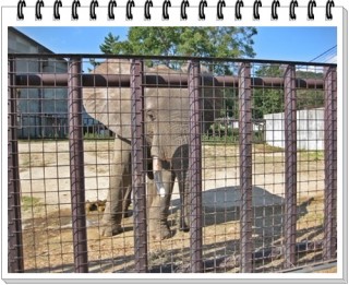 お腹が空いたゾぉ～