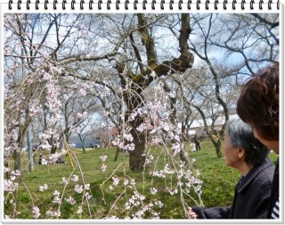 この子もかわいこちゃんです