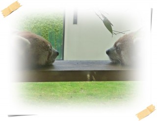 見つめ合う二人♥