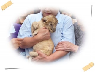 ლ(╹◡╹ლ)ლ(^o^ლ)ლ(╹ε╹ლ)