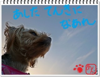 夕暮れ時。。。