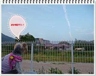 雲の付け根には