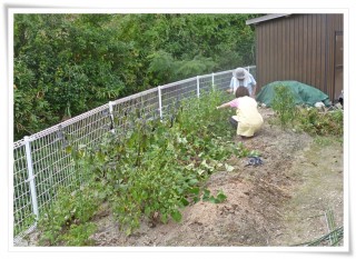 さあ始めますよ