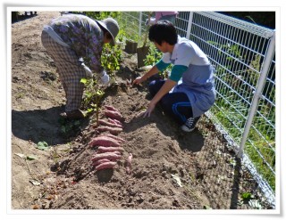 掘って、掘って、また掘って！