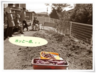 芋堀し隊　満足です