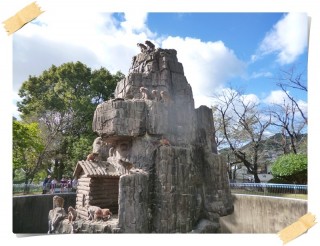 誰かに似てる。。。 誰かに似てる。。。