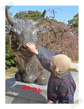 食べてすぐ横になると私になります？