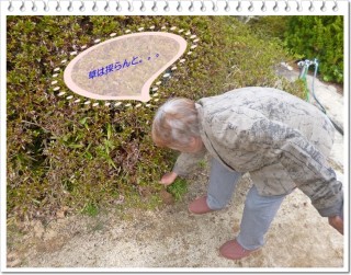 いいことがありますよ！